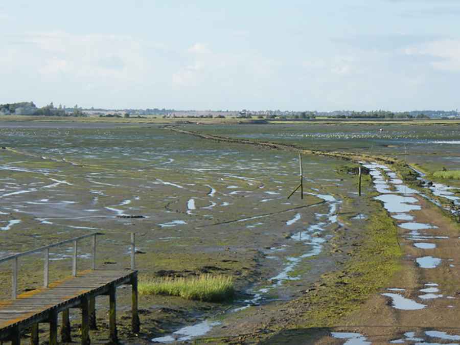 Horsey Island Causeway private tidal road