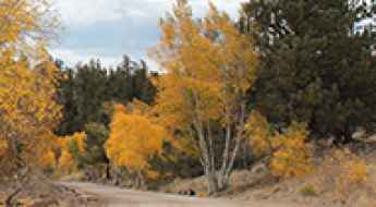 Cochetopa Pass