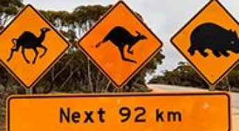 Driving Down Under: Top 8 Most Dangerous Roads In Australia