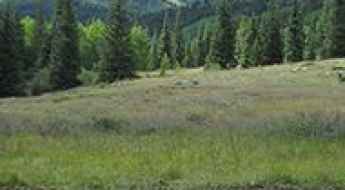 North Fork Clear Creek Trail