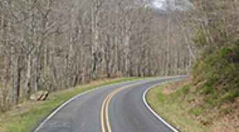 Cataloochee Road