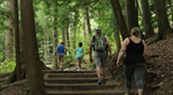 Top 5 Best Trails in Ohio