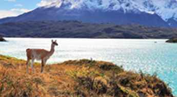 Backpacking Through Patagonia: 8 Tips for Solo Adventurers