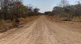 Ruaha National Park