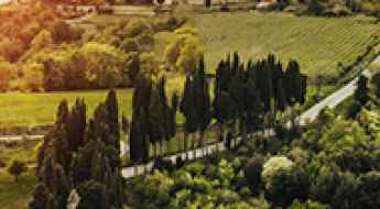 Tuscan Travels:  Following the "Strada del Vino" Through Sun-Kissed Sienna Hills