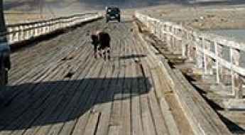 Khovd River bridge