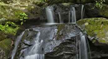 Going Hiking in the Smoky Mountains? Here are Some Things to Remember