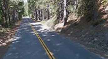 Mariposa Grove Road