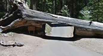 Moro Rock/Crescent Meadow Road