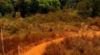 Ring Road of Cameroon