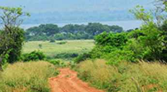 The Unwinding Scenic Roads into the Gorilla Highlands