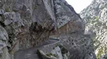 Gorges de Galamus