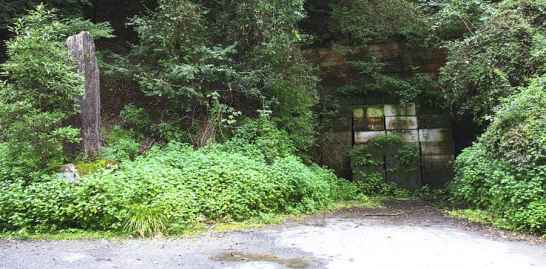 A foreboding image capturing the vastness and unsettling vibe of the Old Inunaki Tunnel.