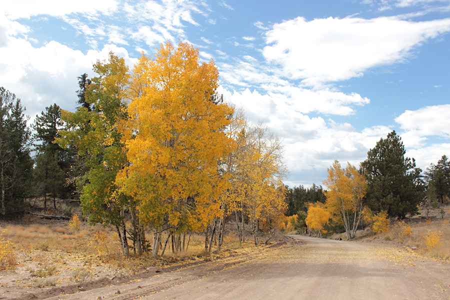 Cochetopa Pass