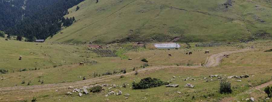 Coll de Moixeró