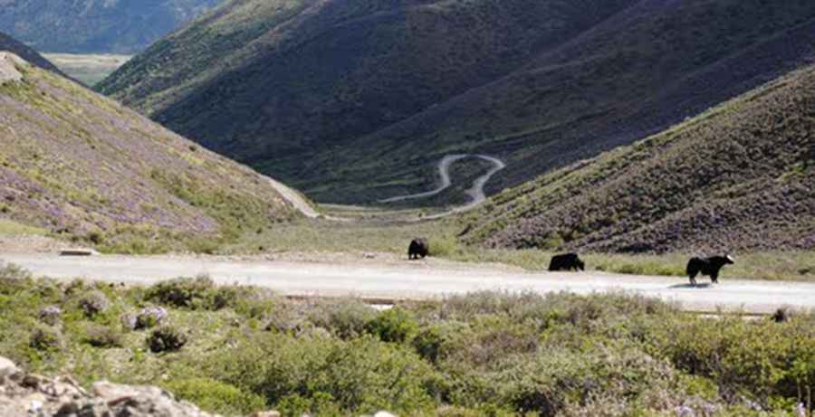 Daxuenshan Pass