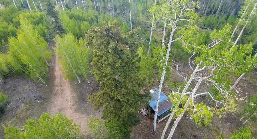 North Rim Lookout