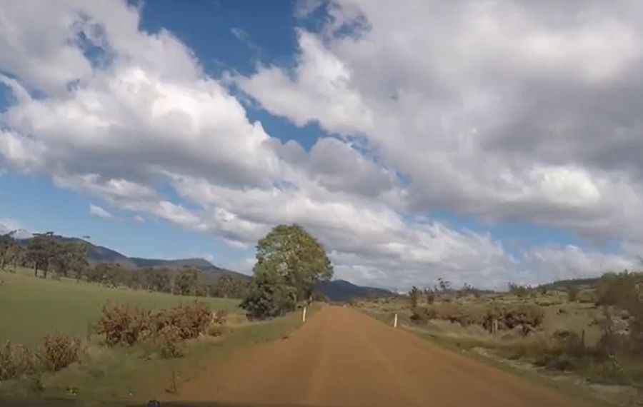 Wielangta Forest Drive