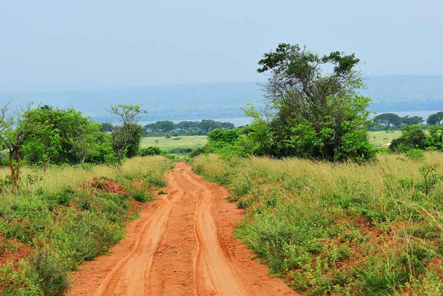 The Unwinding Scenic Roads into the Gorilla Highlands