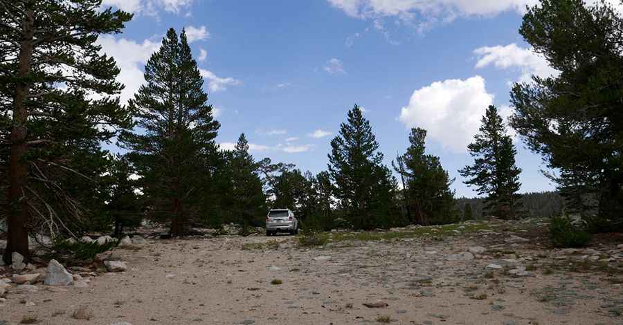 Baker Creek Meadow