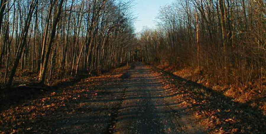 Boy Scout Lane