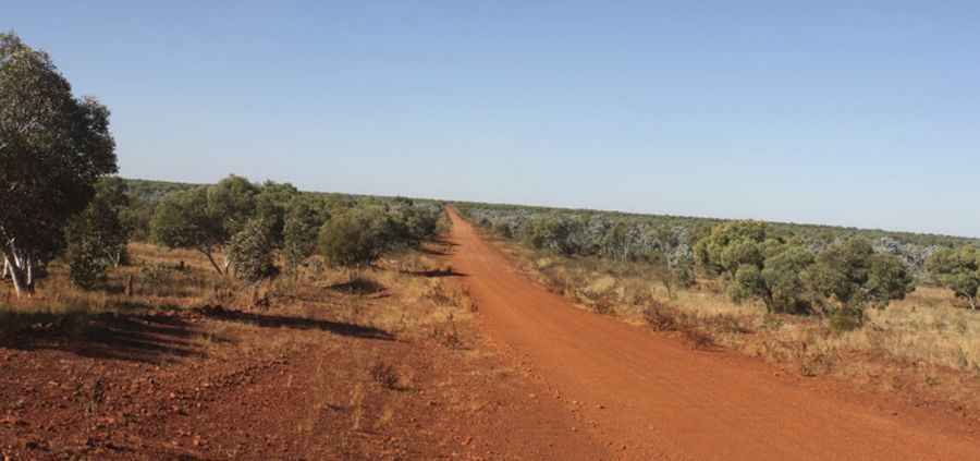 Buntine Highway