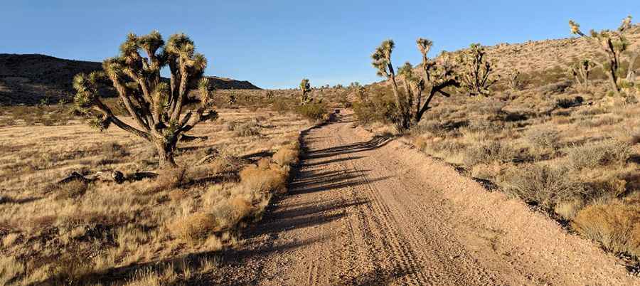 Gold Butte Back Country Byway