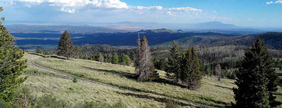 Pajarito Mountain