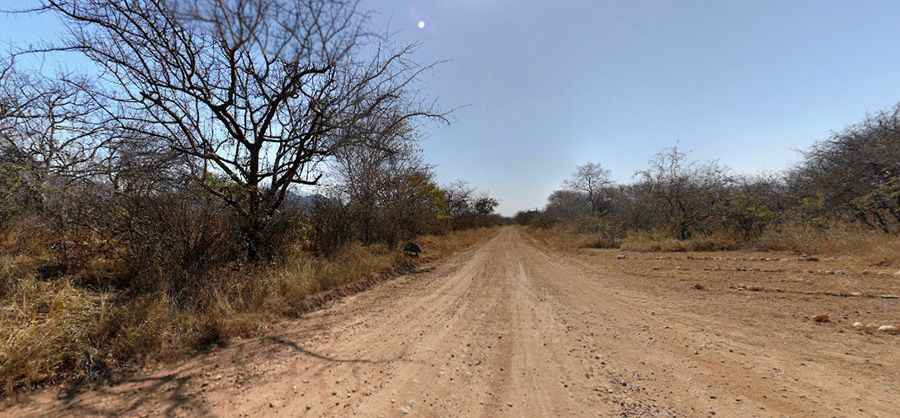 Ruaha National Park