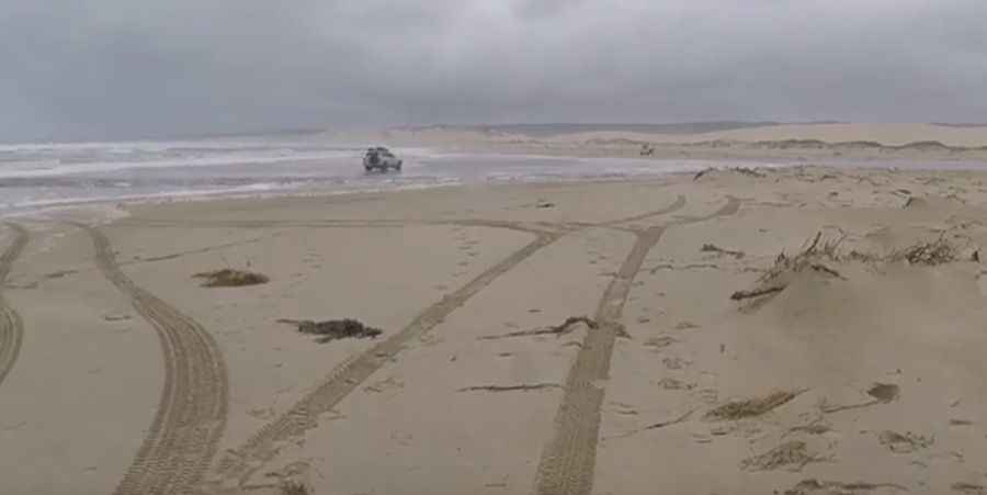 Sandy Cape Track