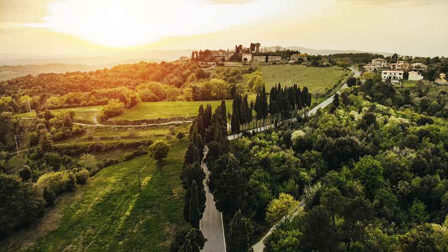 Tuscan Travels:  Following the "Strada del Vino" Through Sun-Kissed Sienna Hills