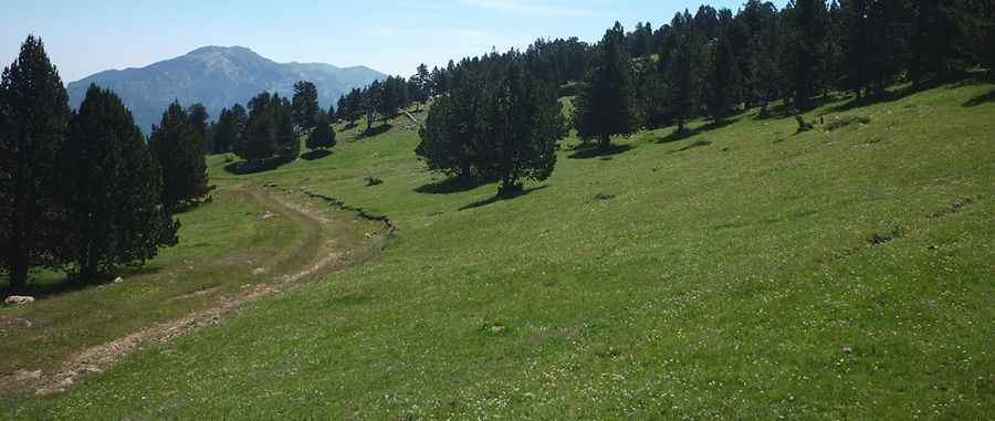 Coll de Pradell