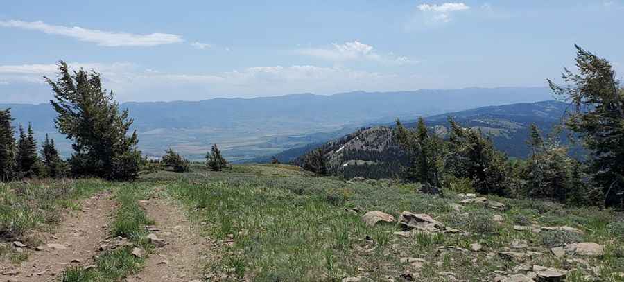 Baldy Mountain