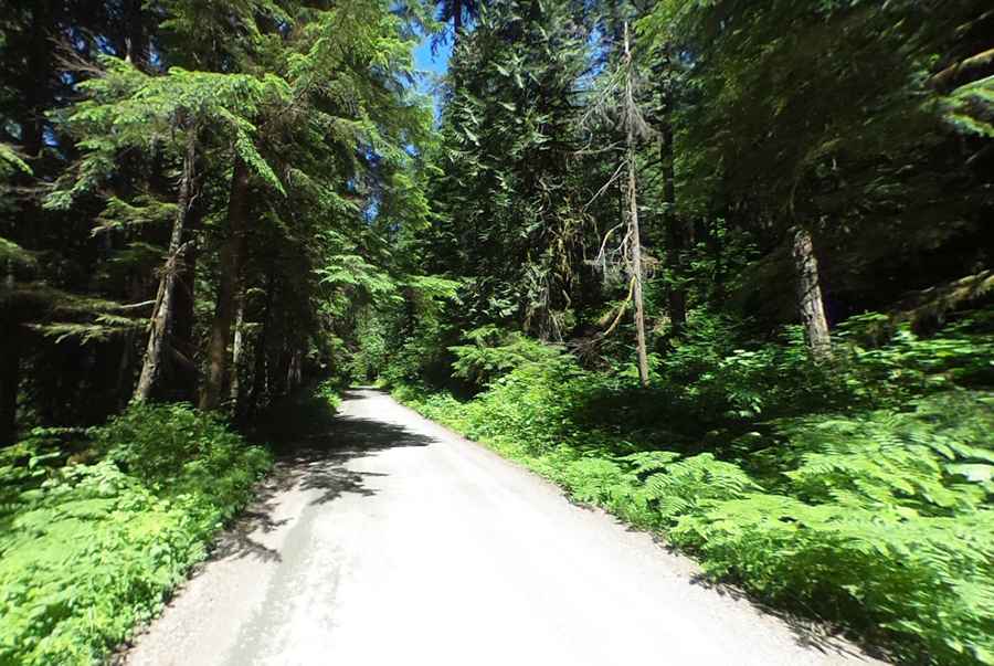 Mountain Loop Highway