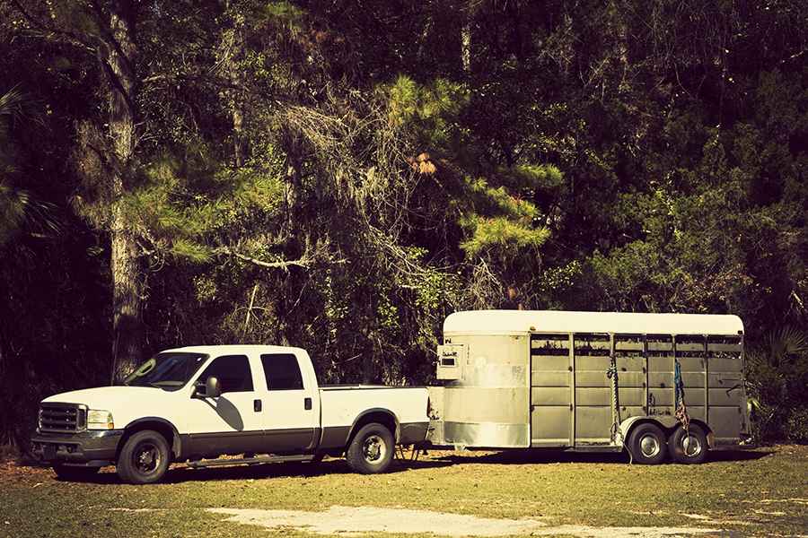 X Tips to Prepare Your Horse for Long-Distance Traveling