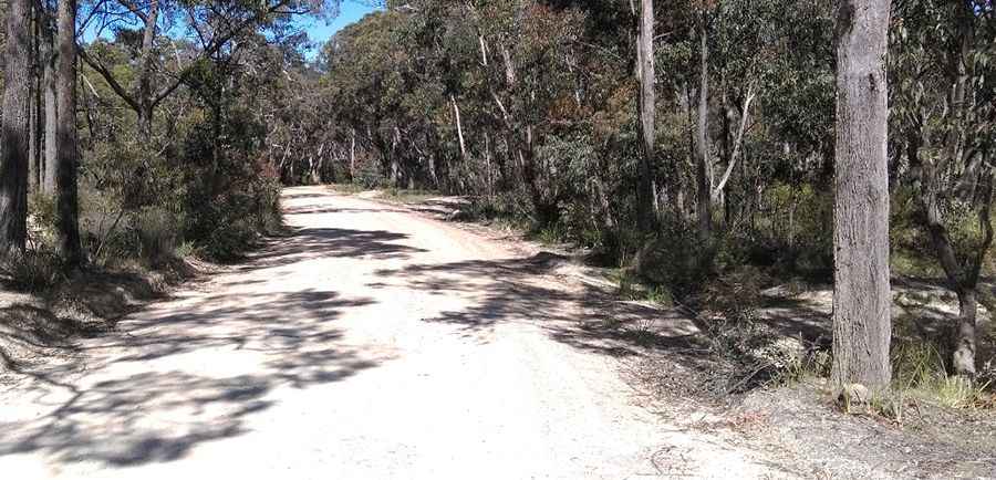 Glowworm Tunnel Road