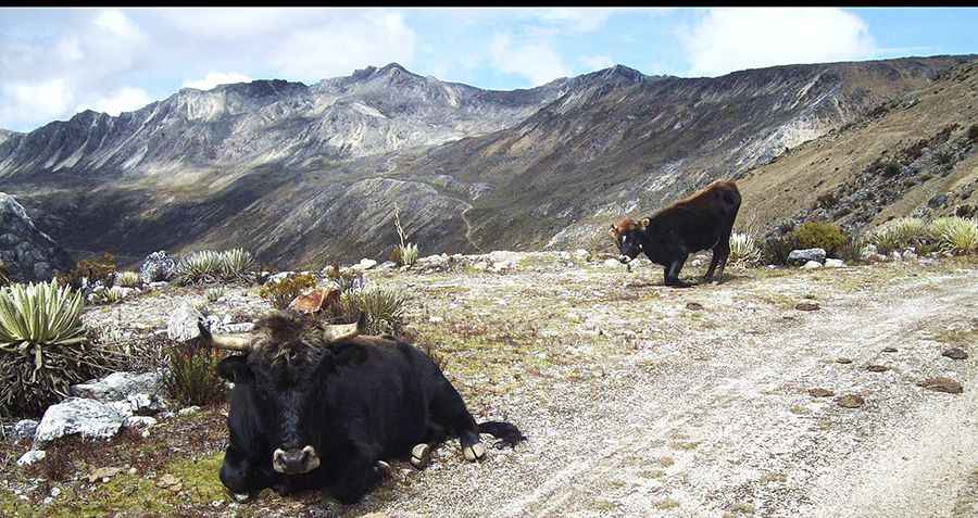 Las Pailas Peak