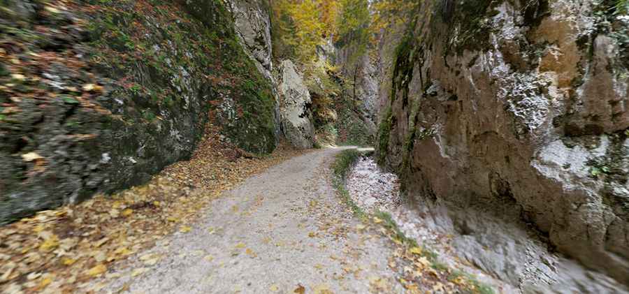 Gorges of Zarnesti