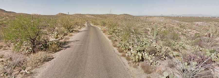 Cactus Forest Drive