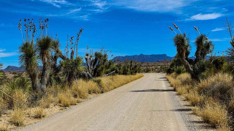 Old Maverick Road