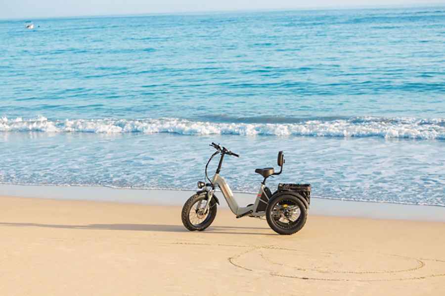 Puckipuppy Husky Plus: Dual Battery Electric Trike Reviews