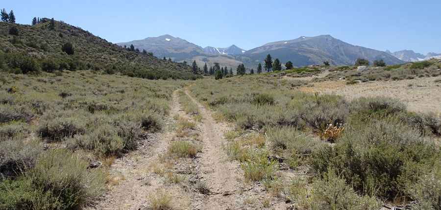 Upper Summers Meadow