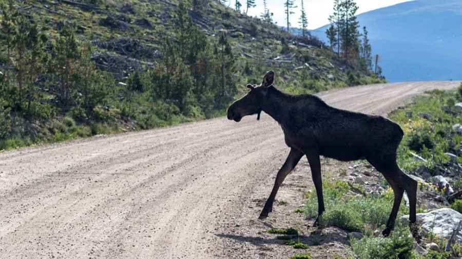 La Poudre Pass