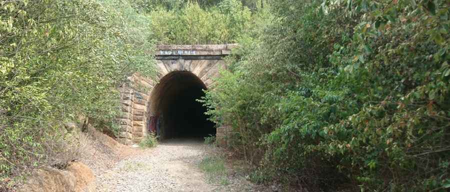 Mushroom Tunnel