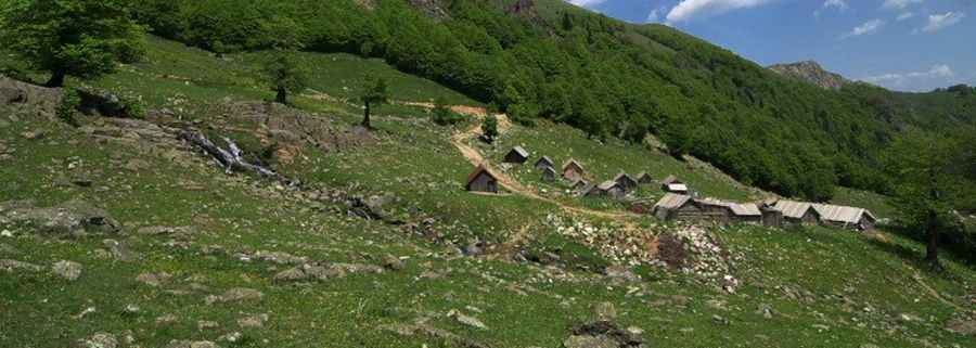 Pešića Jezero