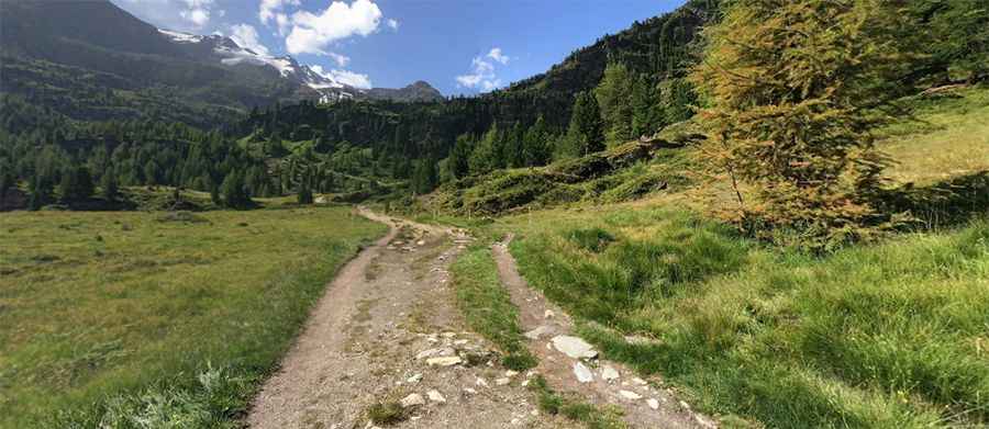 Rifugio Nino Corsi