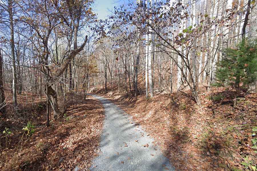 Sheep Creek Road