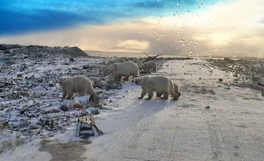 Rogachevo to Belushya Guba Road