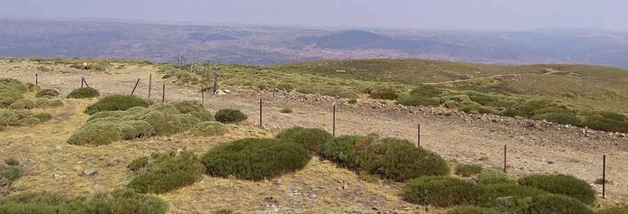 Cerro de la Escusa