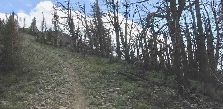 Mission Peak